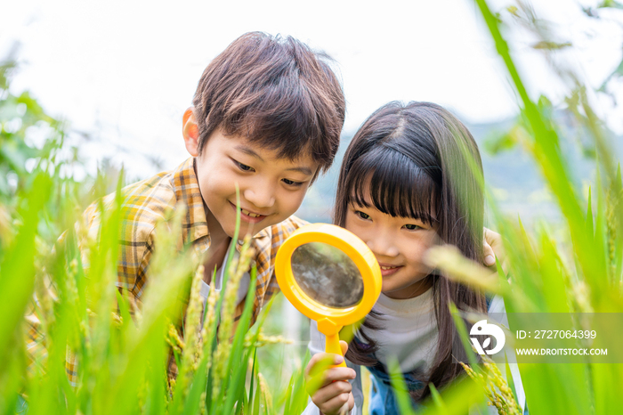 小朋友拿着放大镜观察植物