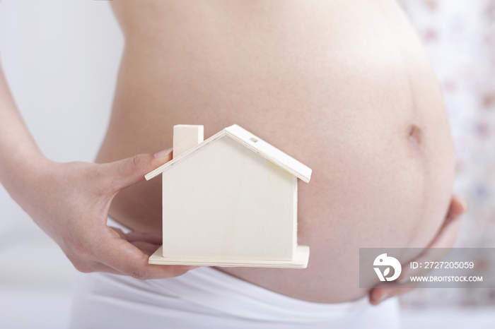 孕妇和房子模型