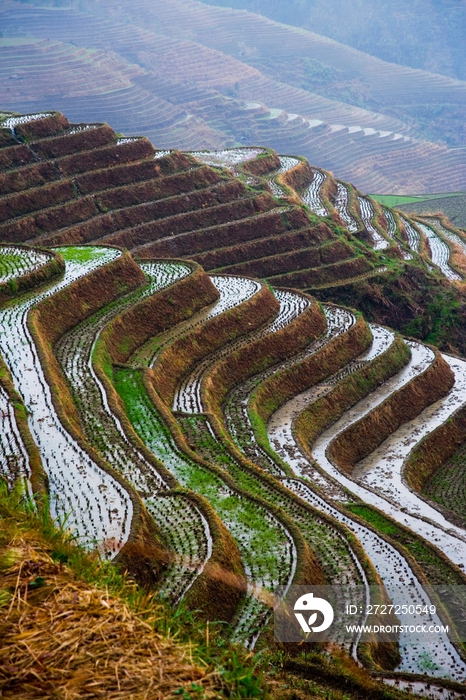 龙脊梯田