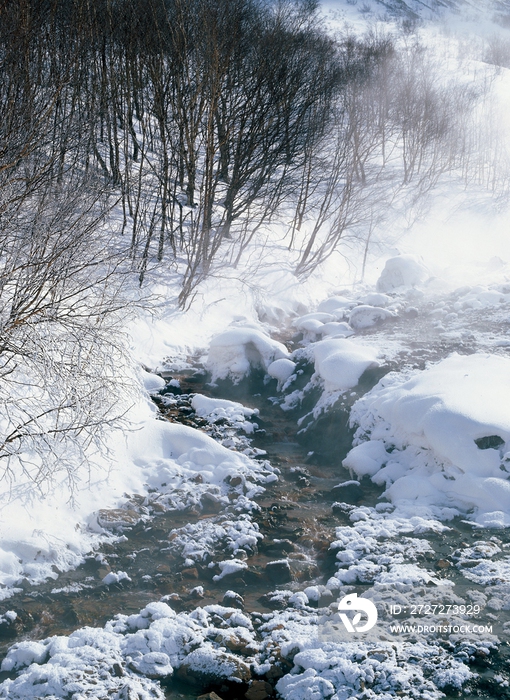 长白山雪景