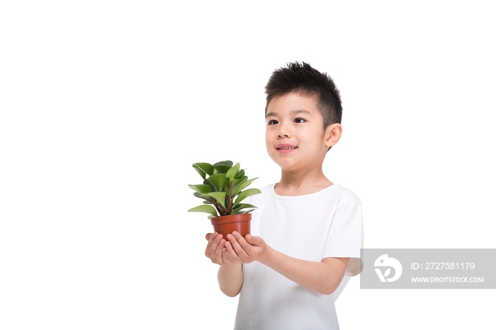 拿着绿色盆栽植物的小男孩