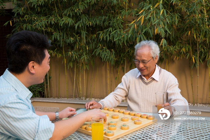 父子在院子里下棋