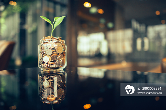 Plant growing out of coins with filter effect retro vintage style,concept money growing and small tr