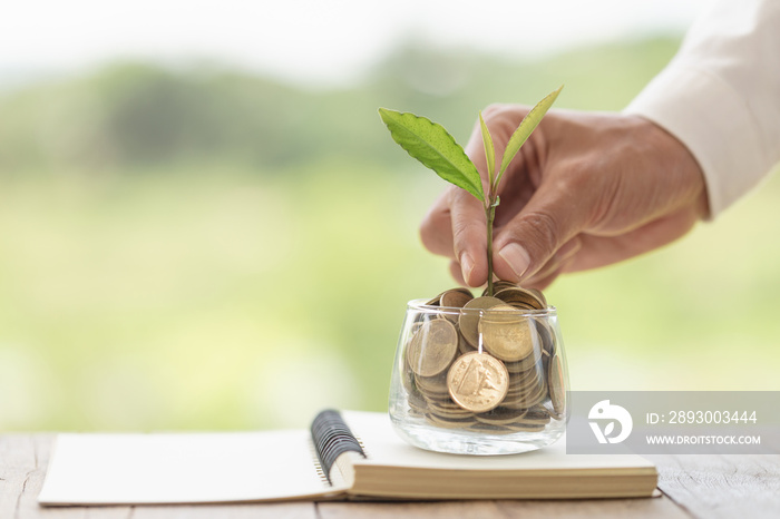 种植在硬币玻璃罐中，用于省钱和投资理财，商业概念，年