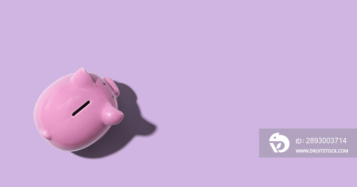 Pink piggy bank overhead view - flat lay