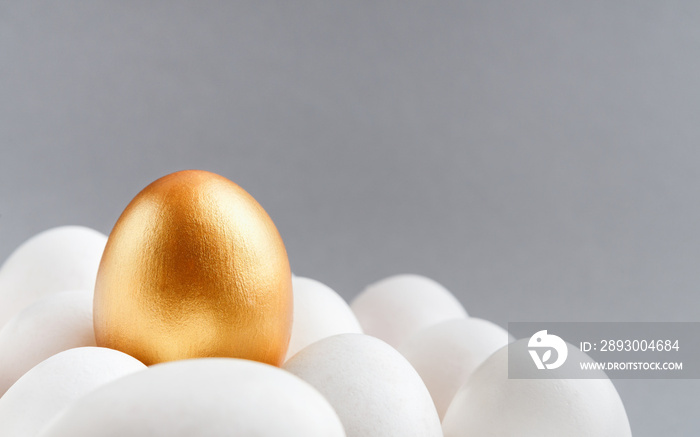 One golden egg among white eggs on gray background.