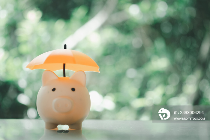 Pink piggy bank and orange umbrella.