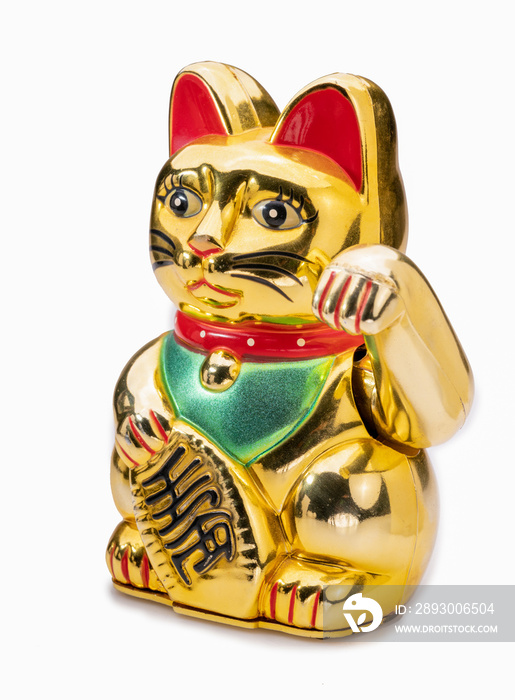 白色背景的Maneki neko金钱猫或幸运猫闪闪发光的金色意味着欢迎更多的金钱和