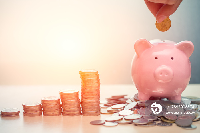 手存钱概念，带硬币的小猪银行财富收入和利润金融业务增长
