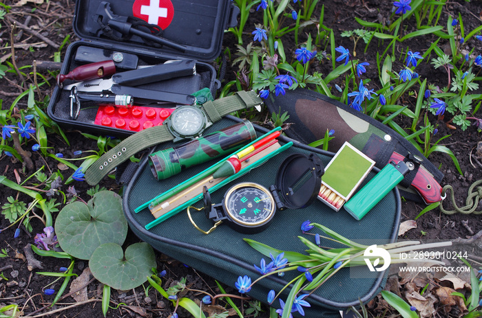 A set of items for survival in nature, lying in the forest among the flowers.