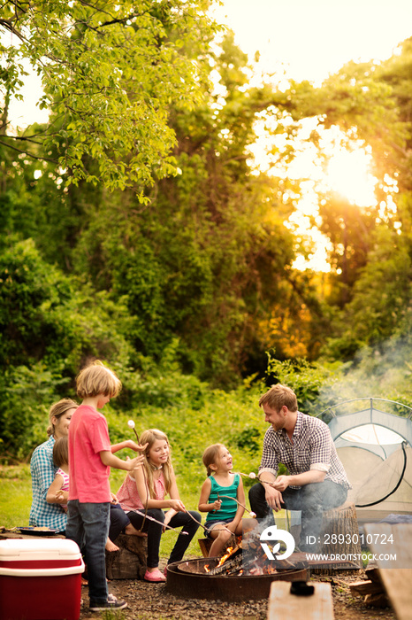 快乐家庭在森林露营时烤棉花糖