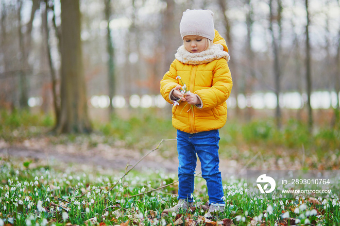 春天的一天，可爱的蹒跚学步的女孩站在公园或森林里的草地上，手里拿着许多雪花