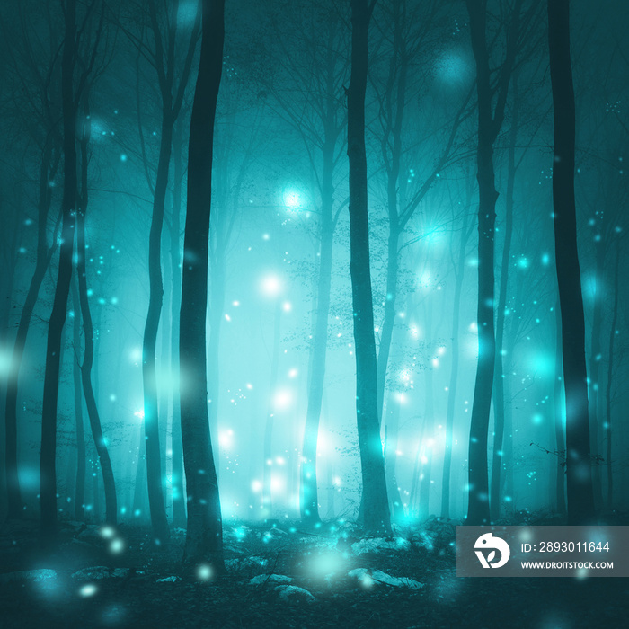 神奇的雾蒙蒙的森林树木，背景是艺术萤火虫。神奇的青蓝色童话