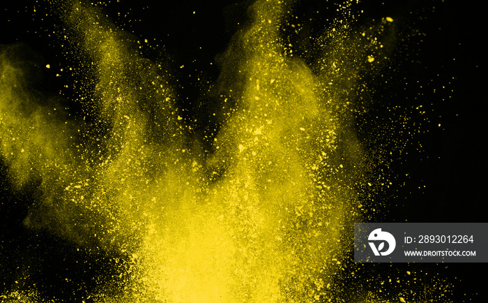 在黑色背景下隔离的黄色粉尘爆炸的冻结运动。