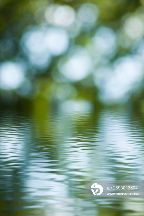 水面上的绿色自然背景