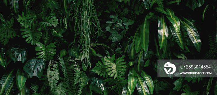 green leaves background