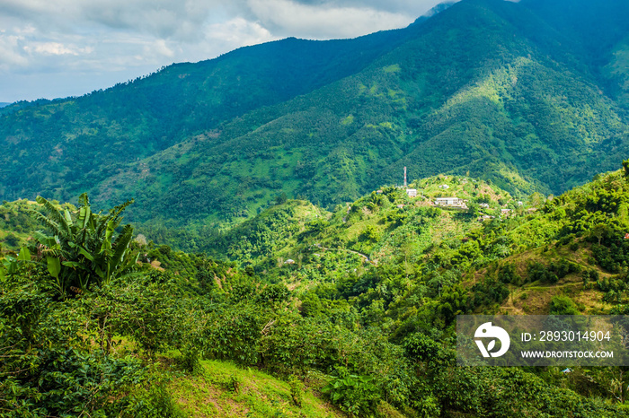 Blue mountains of Jamaica coffee growth place