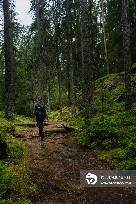 hiking in the woods