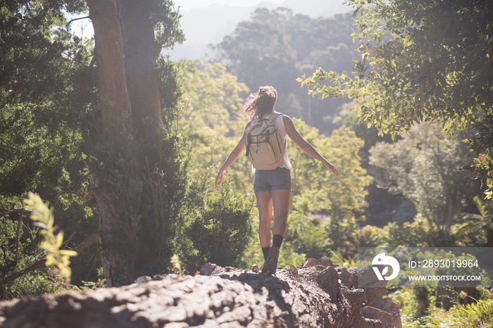 Rear view of female hiker walking on log in forest