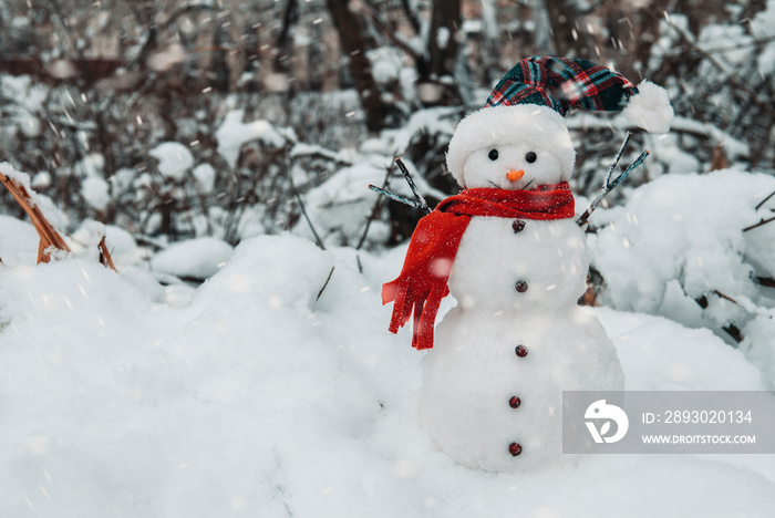 雪堆里戴着帽子和围巾的雪人