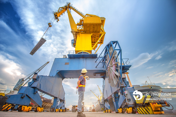 the loading and discharging operation container ship vessel in port takes control by stevedore and f