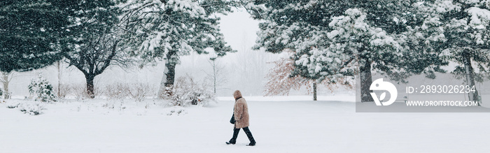 冬季户外场景。公园里的雪下行走的男人。暴雪。暴雪，糟糕的w