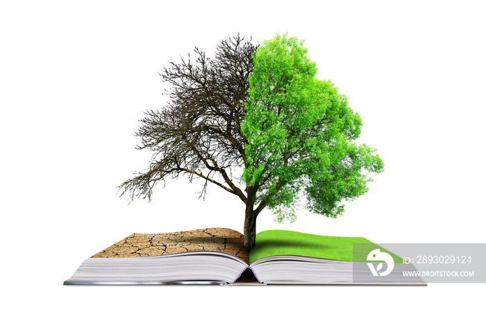 打开一本书，将活树和死树隔离在白色背景上。全球变暖或气候变化c