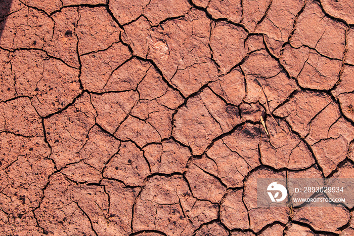 干旱时开裂的红土，干旱时的土壤质地。很长一段时间没有下雨。Inf