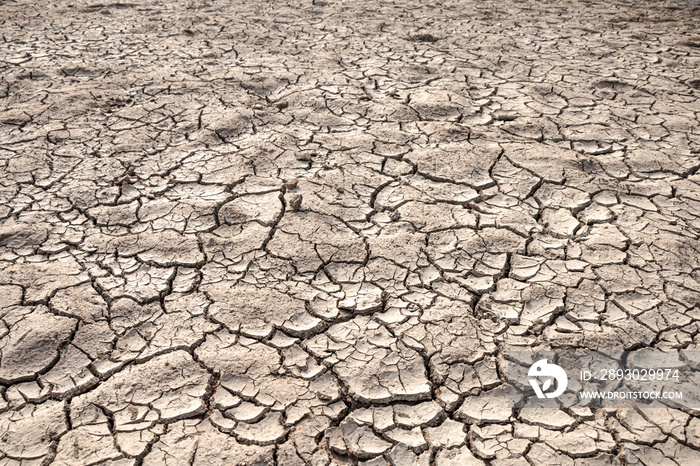地面裂缝干旱危机环境背景。