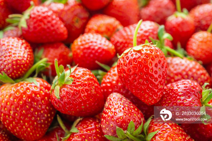 Fresh organic red ripe Strawberry fruit background closeup