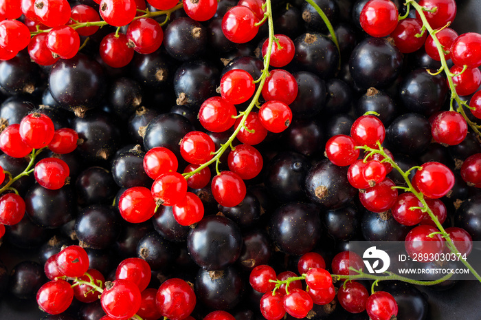 Background of black and red currants. Fresh berries closeup. Top view. Background of fresh berries. 