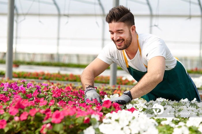 Portrait of a smiling greenhouse worker