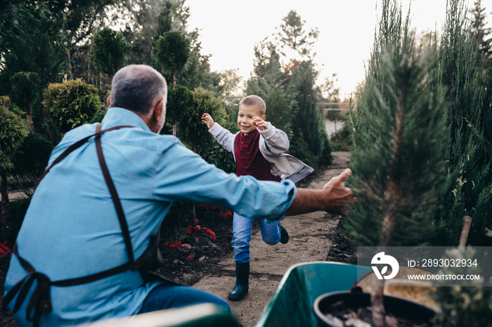 the boy runs to hug his grandfather in evergreen nursery