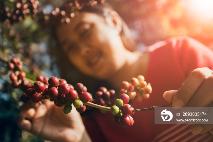 asian woman smiling face happiness emotion near raw coffee seed on tree branch