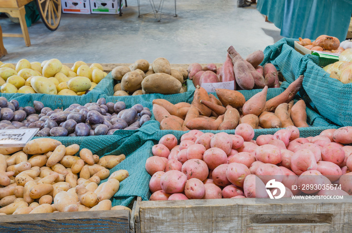 美国华盛顿州普亚卢普市场摊位上的一堆土豆、红薯