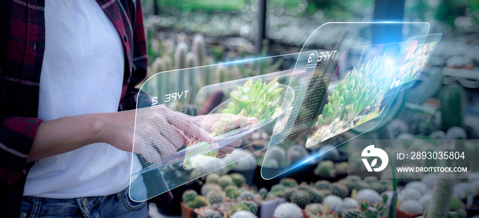 聪明的农妇使用平板电脑技术保持农业增长种植温室植物