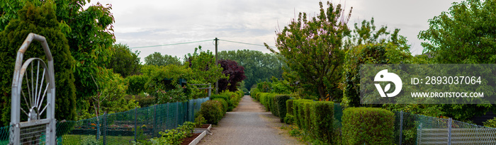 分配花园中的小路，小路上的左右树篱