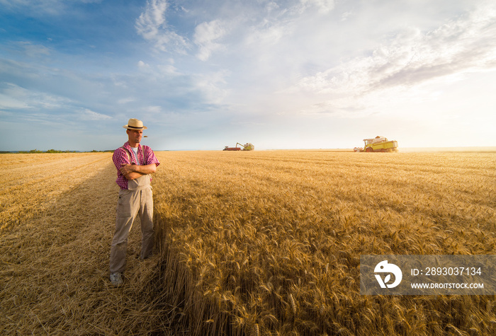 Young farmer in wheat fields during harvest in summer