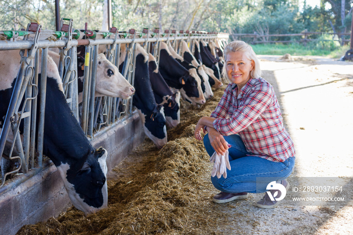 Happy woman farmer with her cows.