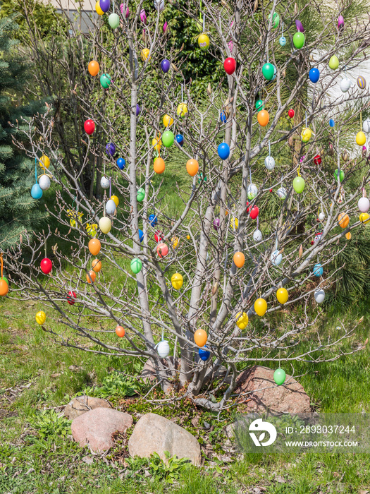 Osterstrauch im Garten