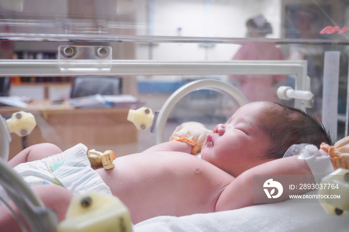 医院产房保温箱内的新生女婴