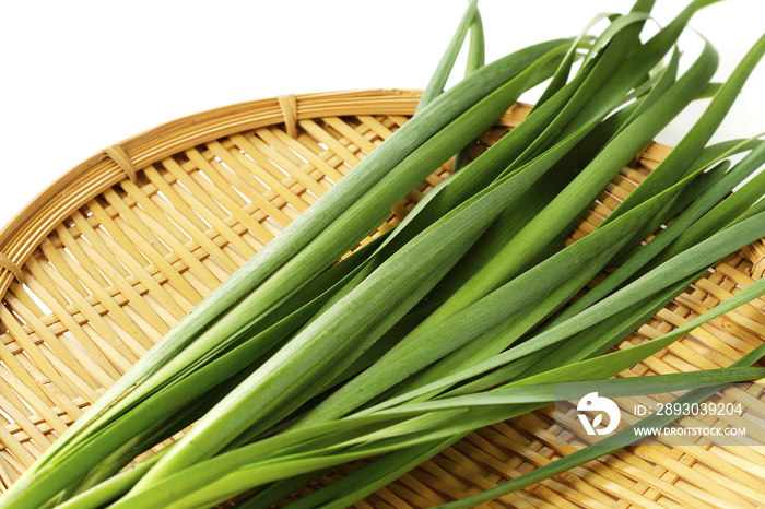 ニラ　Chinese chive