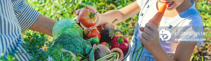 Child and grandmother in the garden with vegetables in their hands. Selective focus.