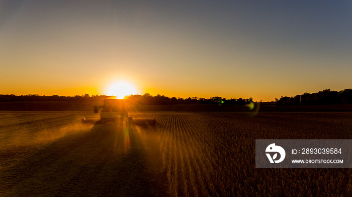 Farmer harvesting soybeans in Midwest