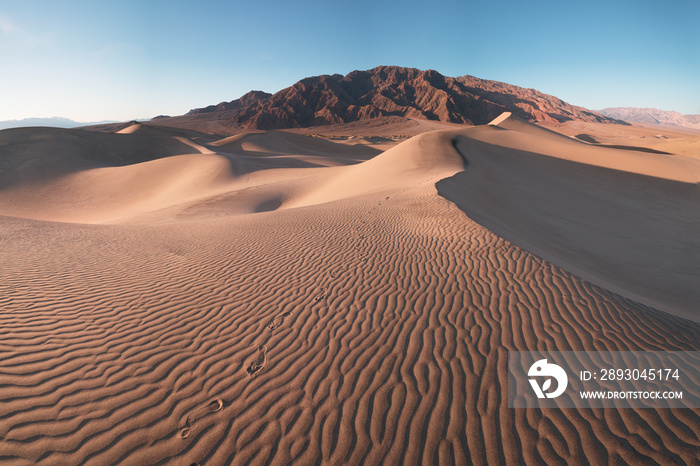 Early Morning Sunlight Over Sand Dunes And Mountains At Mesquite flat dunes, Death Valley National P