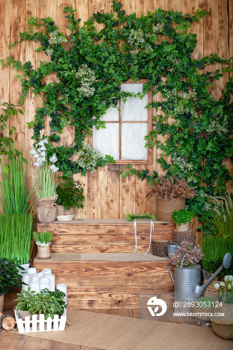 春天院子的内部。一个木屋的春天露台，盆里有绿色植物。继续园艺