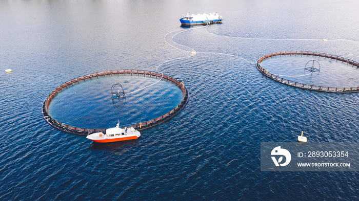 Salmon fish farming in Norway sea. Food industry, traditional craft production, environmental conser