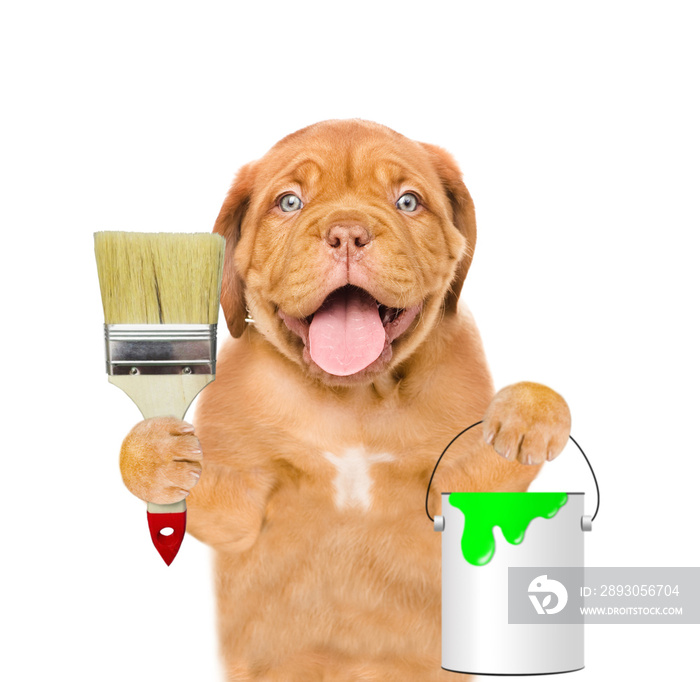 Funny dog with paint brush and paint bucket. isolated on white background
