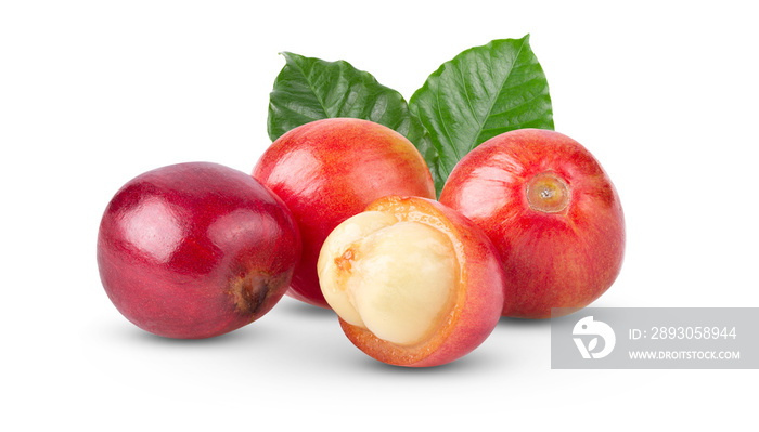 Red coffee beans  ripe and unripe berries isolated on white background. full depth of field