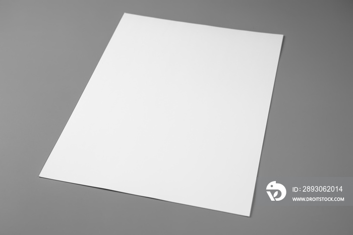 Blank portrait mock-up paper. brochure magazine isolated on gray, changeable background / white pape